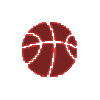 塞尔甲
